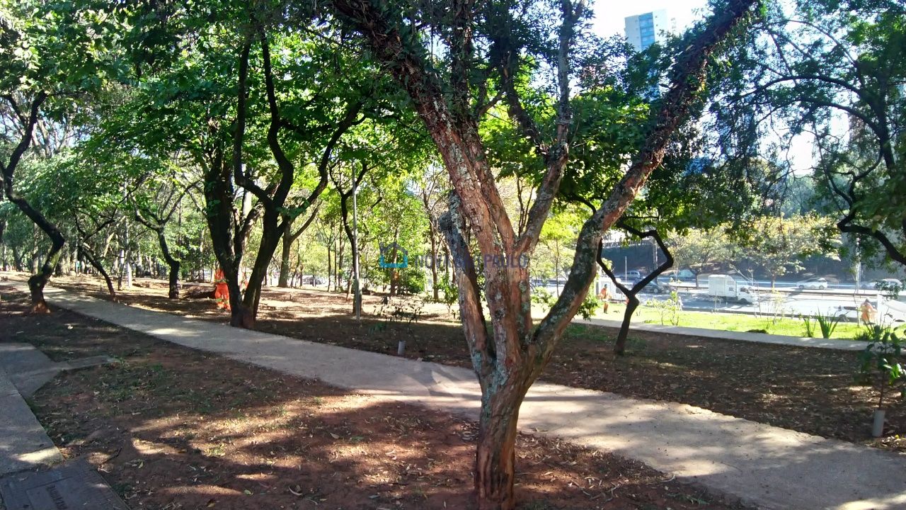 Foto 20 - BI40083