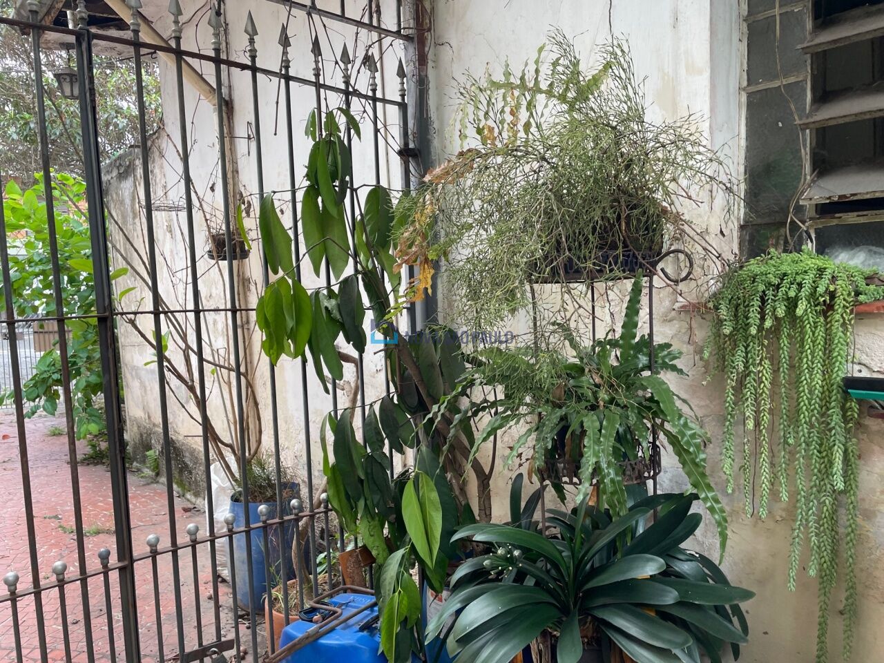 Foto 6 - BI41283
