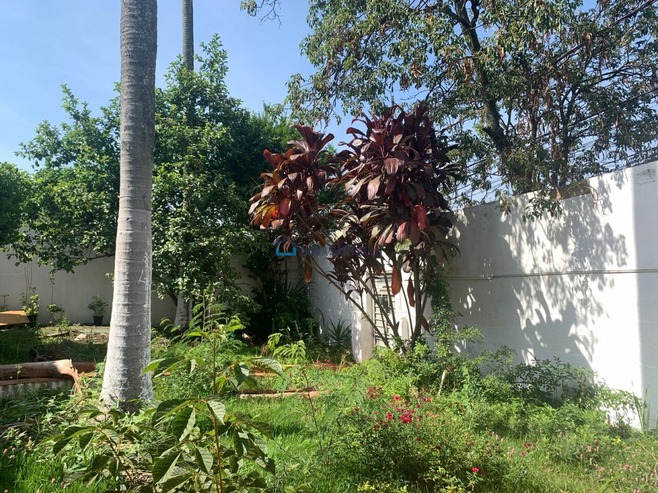 Foto 2 - BI41839