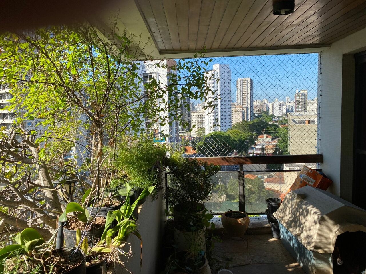 Foto 3 - BI42789