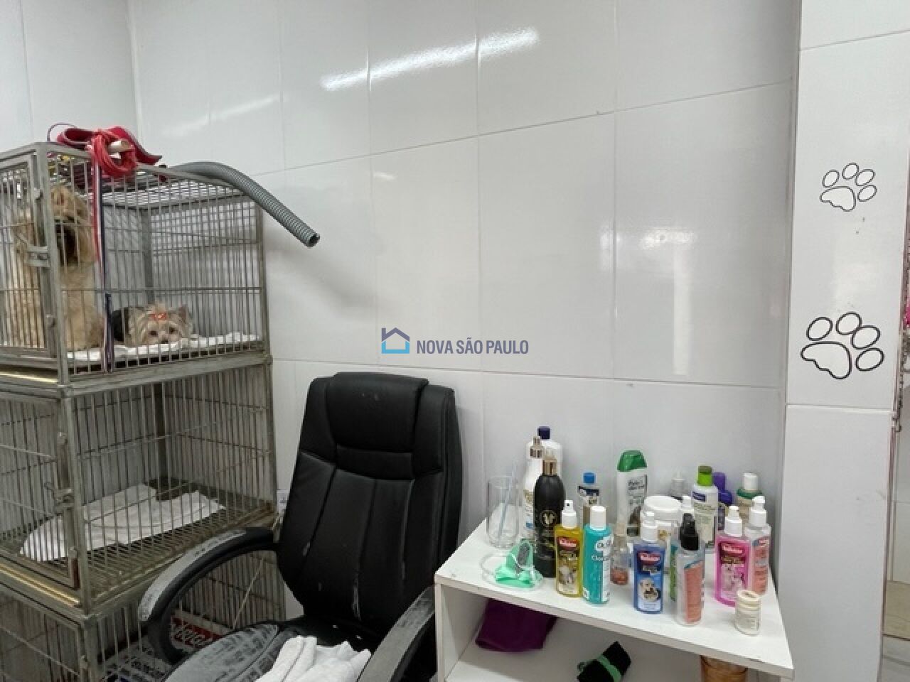 Foto 4 - BI43190