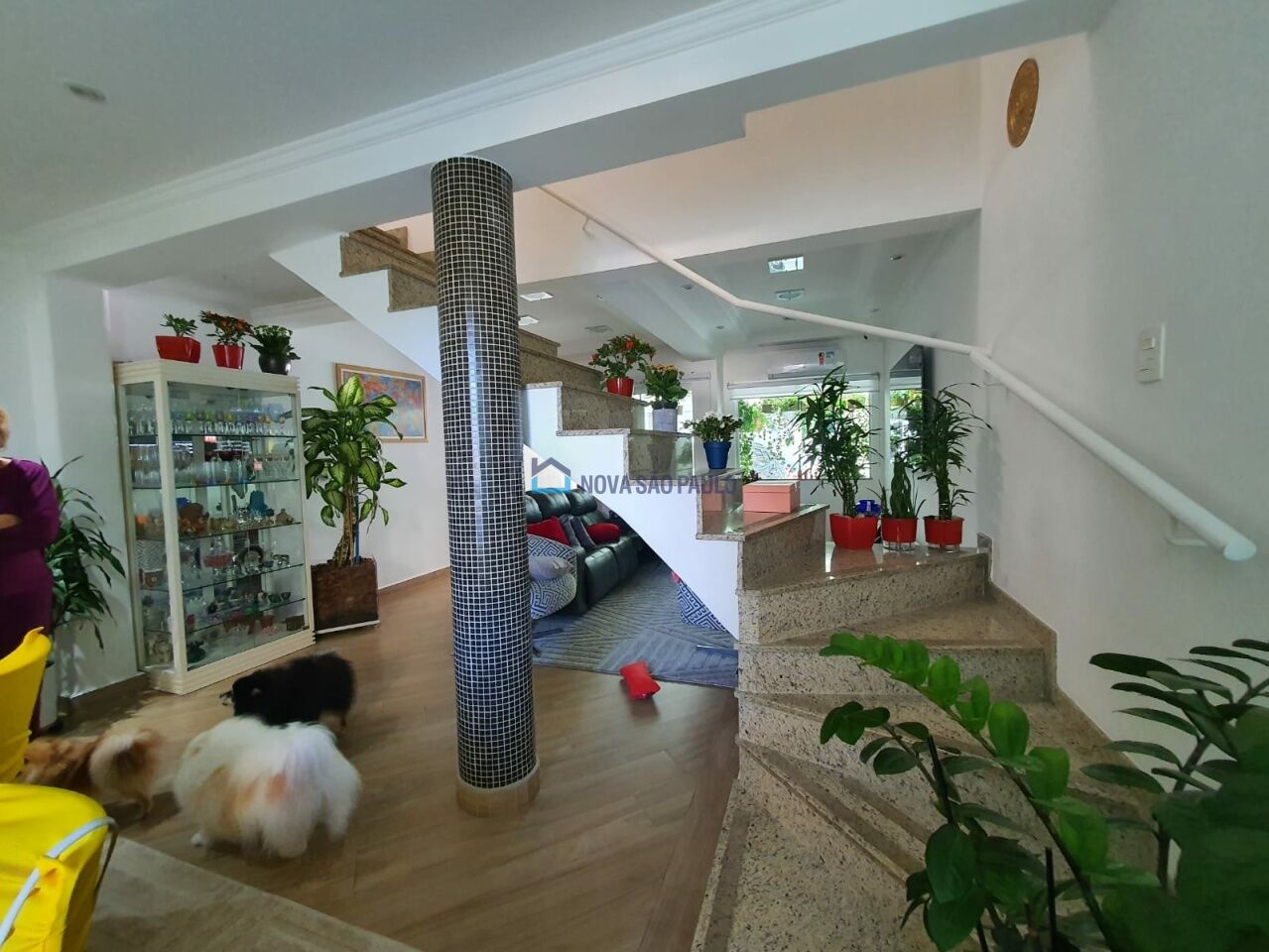 Foto 2 - BI43560