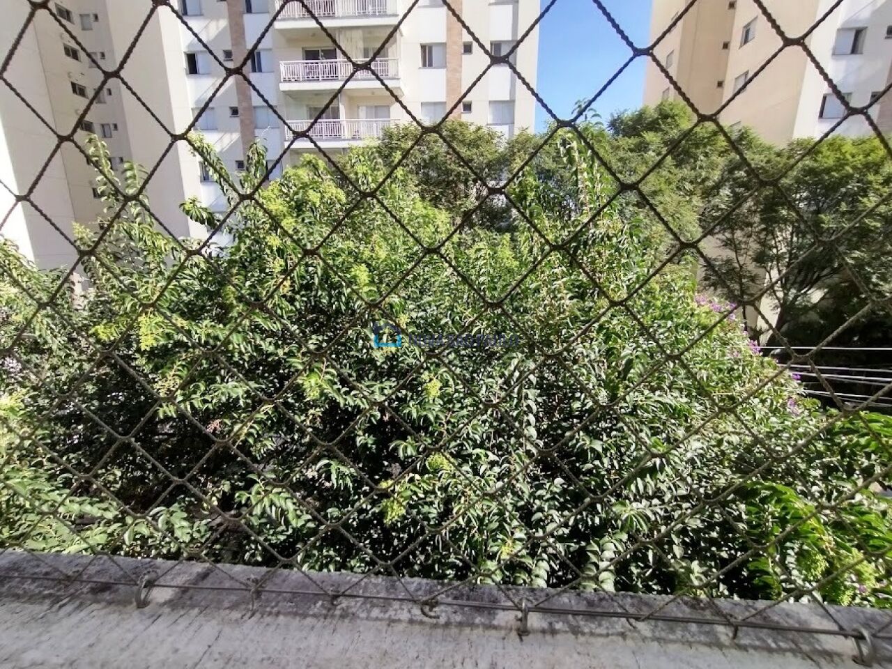 Foto 15 - BI43642