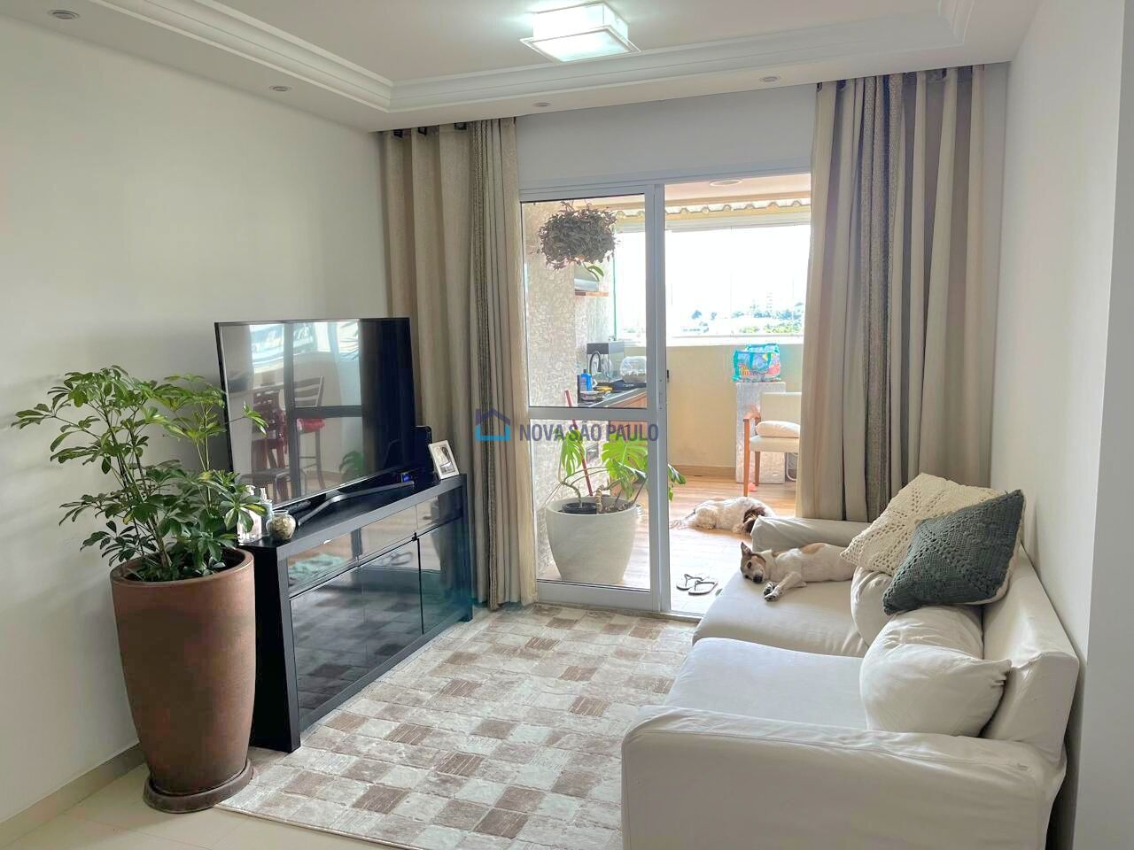 Foto 6 - BI44196