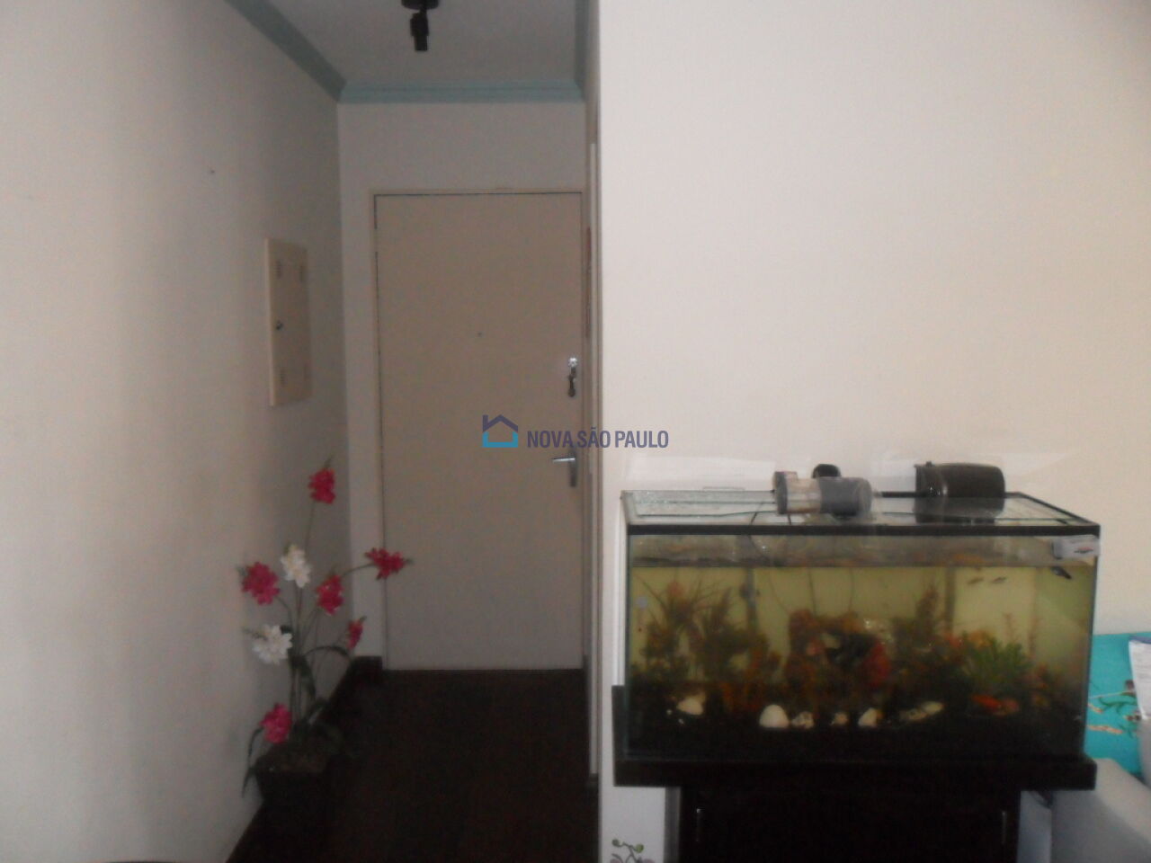Foto 4 - BI44310