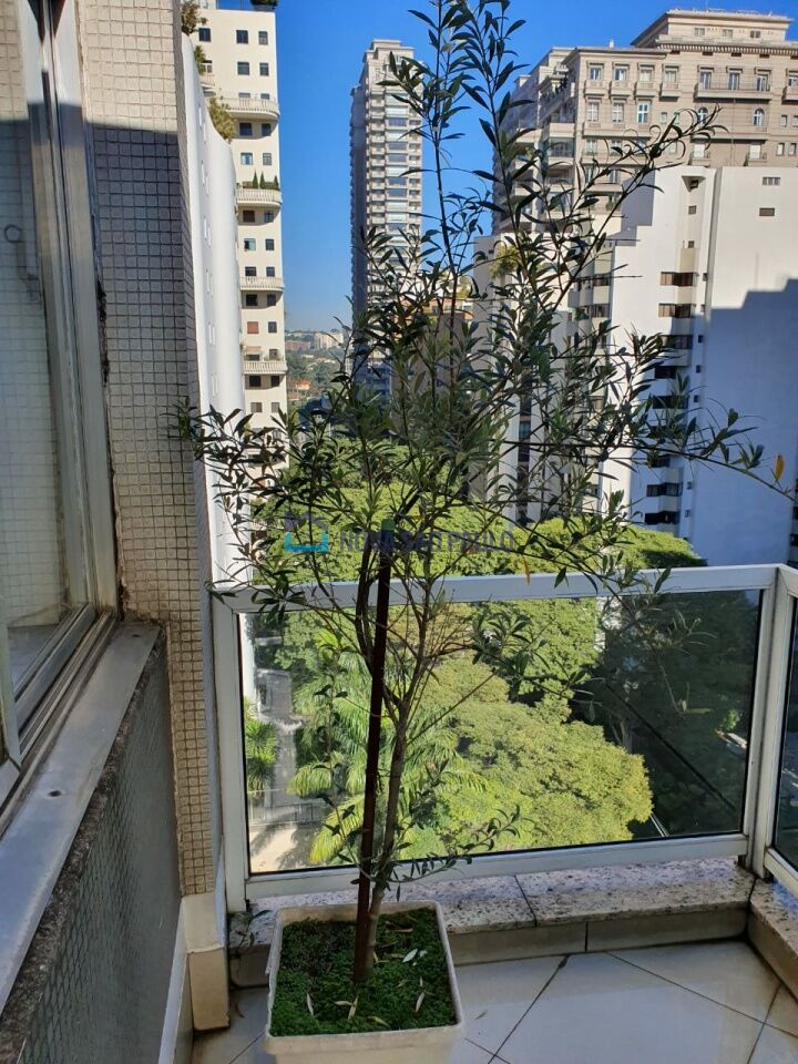 Foto 11 - BI44437