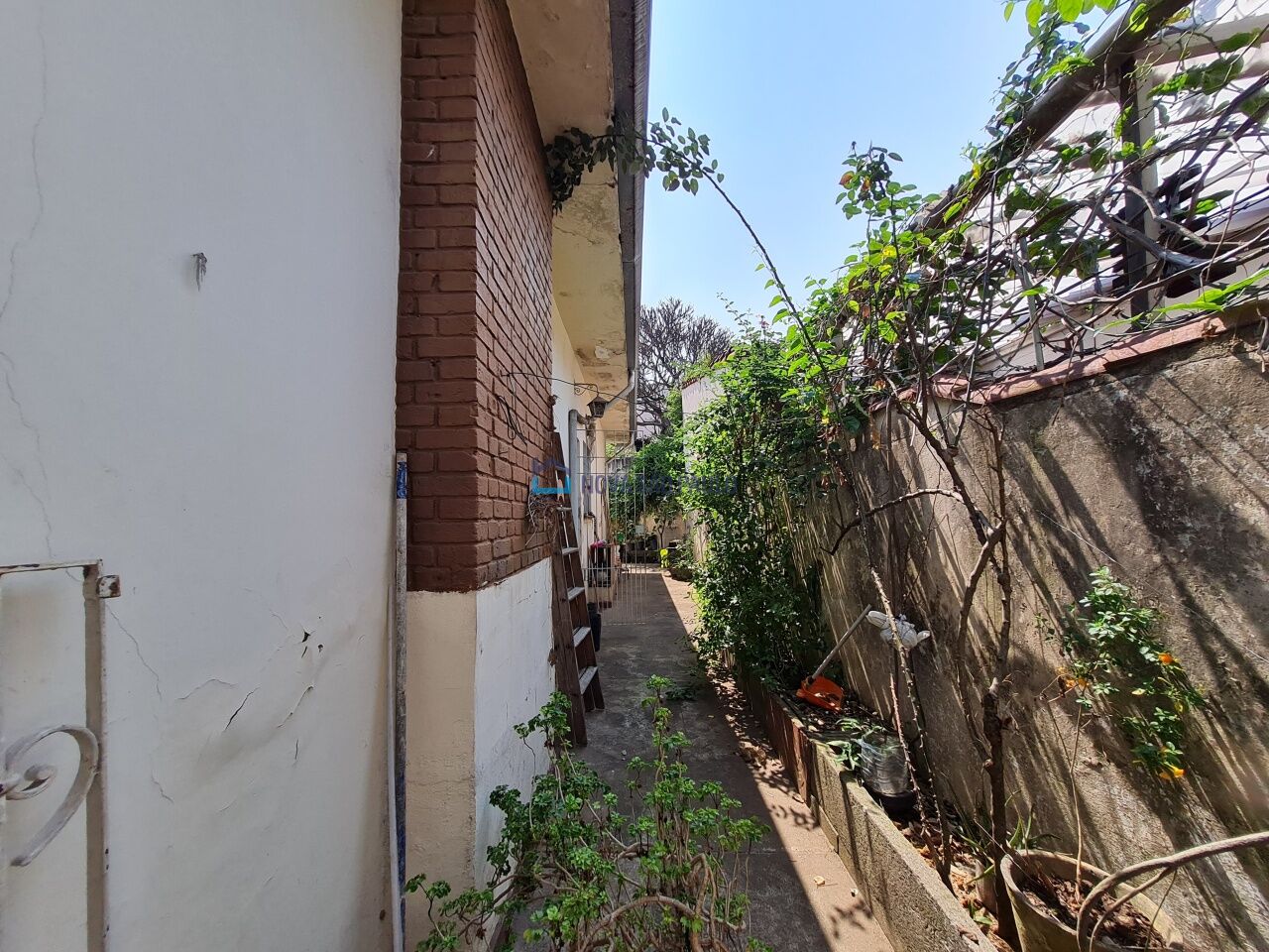 Foto 10 - BI44537