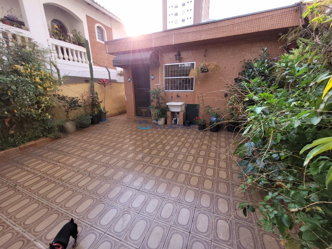 Foto 15 - BI44694