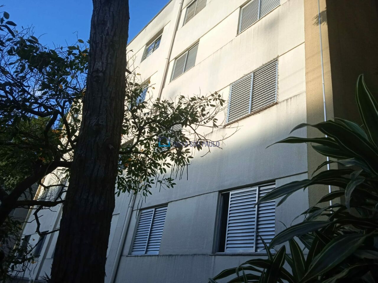 Foto 7 - BI44834
