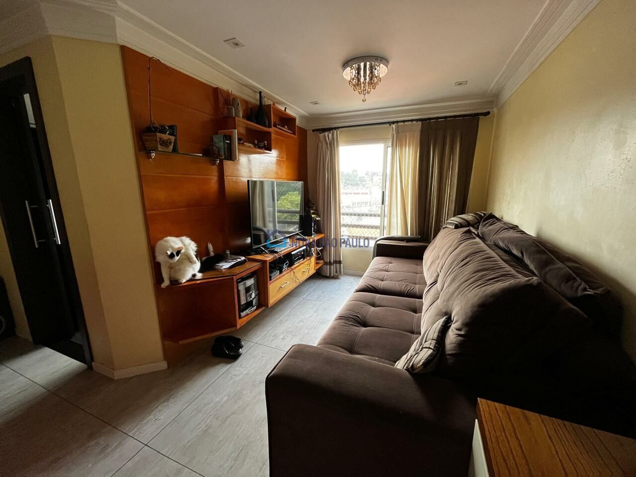Foto 3 - BI45342