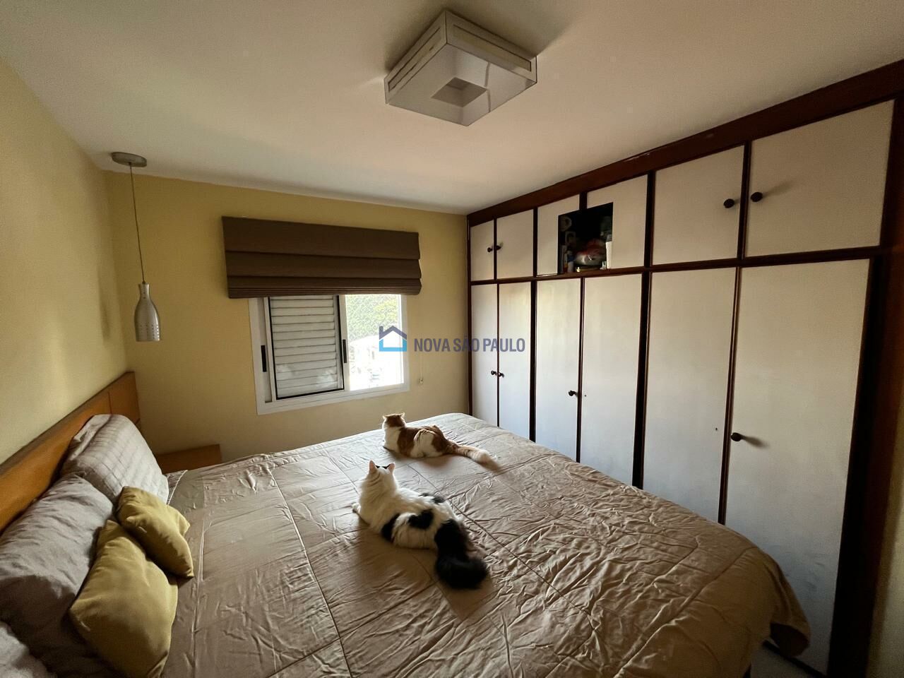 Foto 21 - BI45342