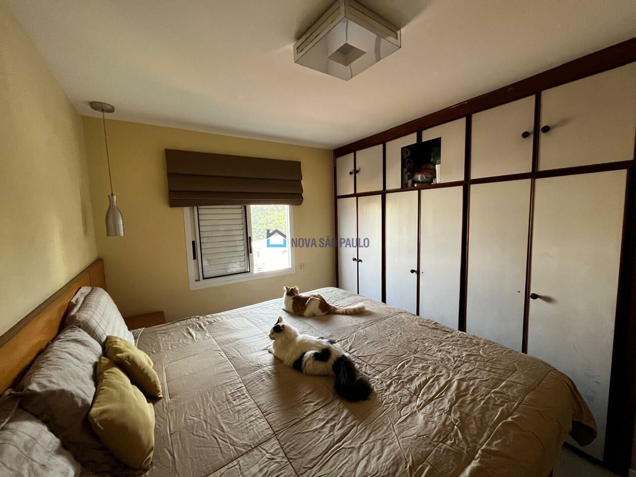 Foto 22 - BI45342