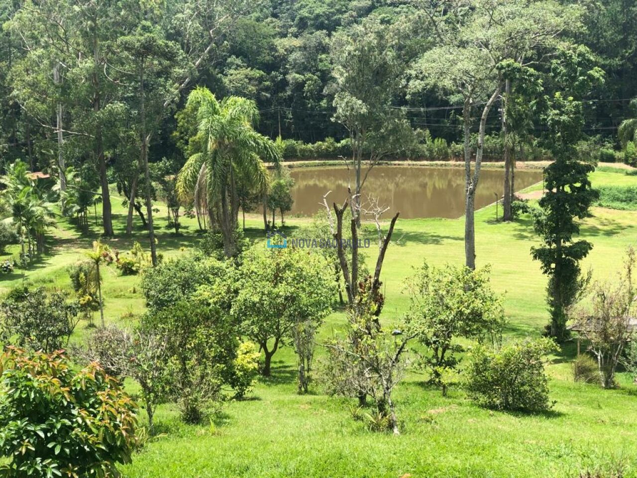 Foto 21 - BI45461