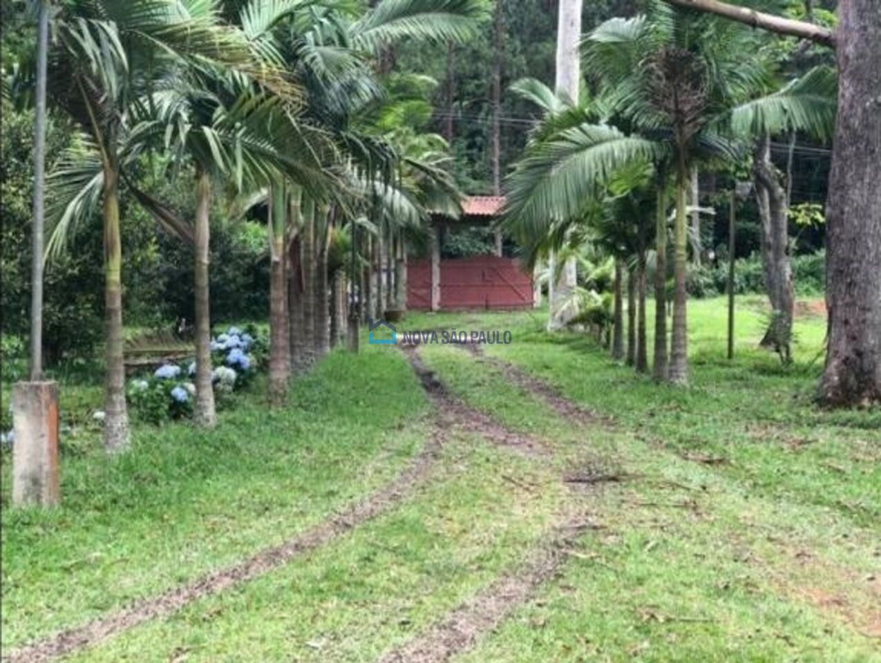Foto 11 - BI45461