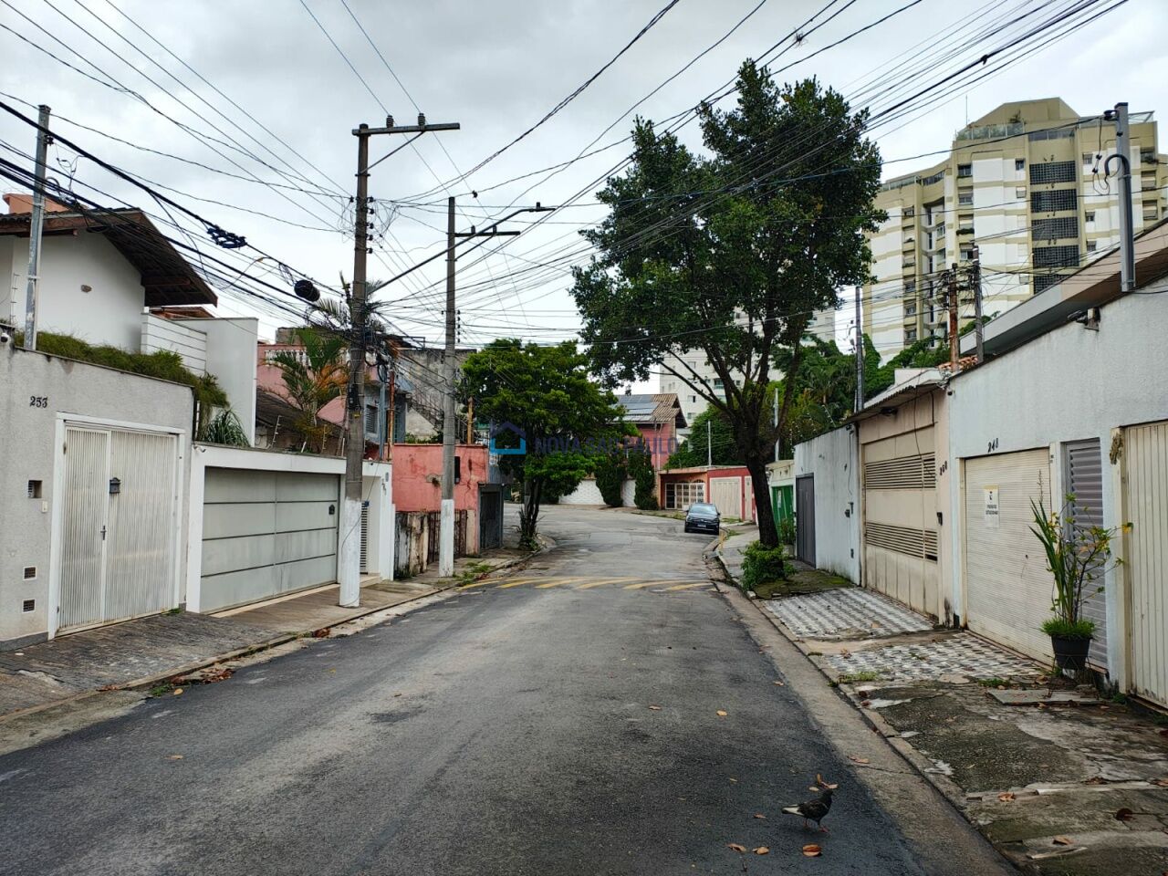Foto 19 - BI45956