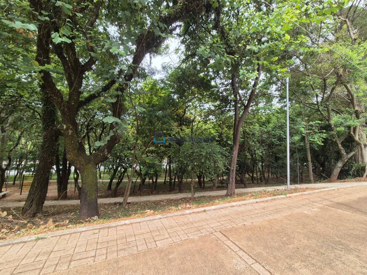 Foto 21 - BI46031