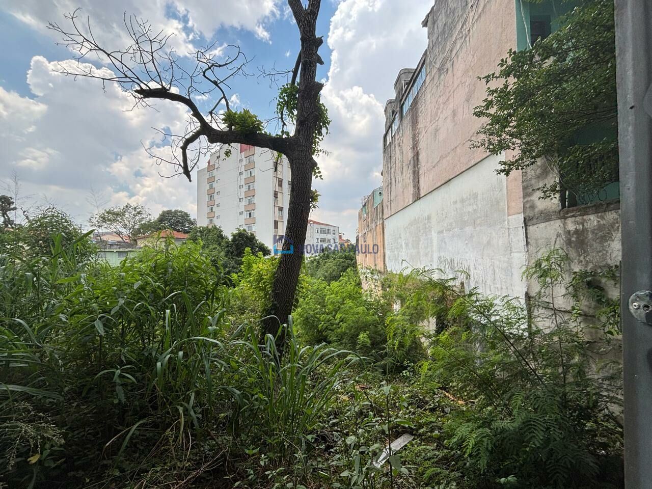 Foto 7 - BI46035