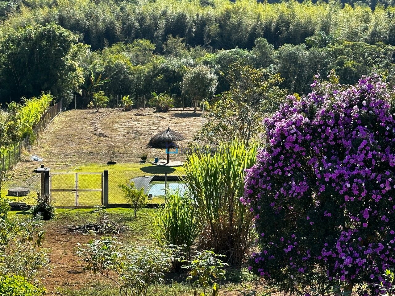 Foto 8 - BI46081