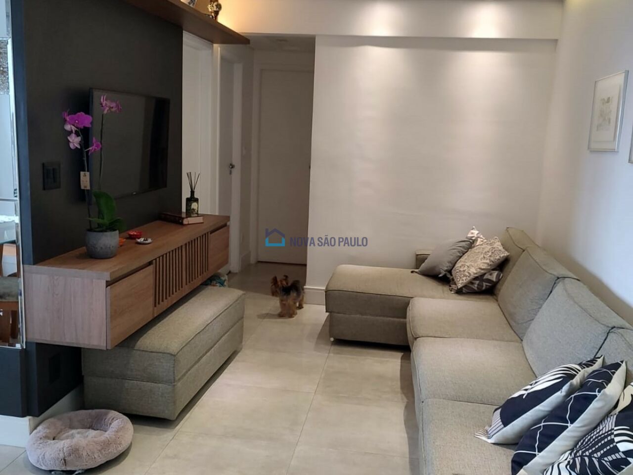 Foto 3 - BI46197