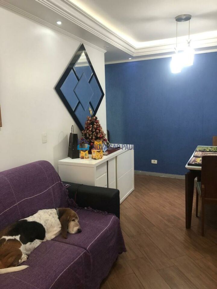 Foto 7 - BI46329