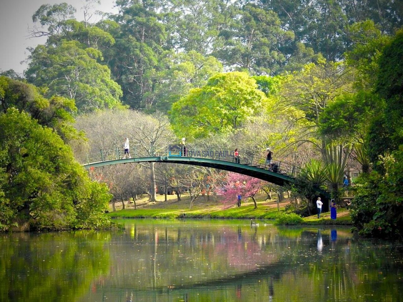 Foto 18 - BI46501
