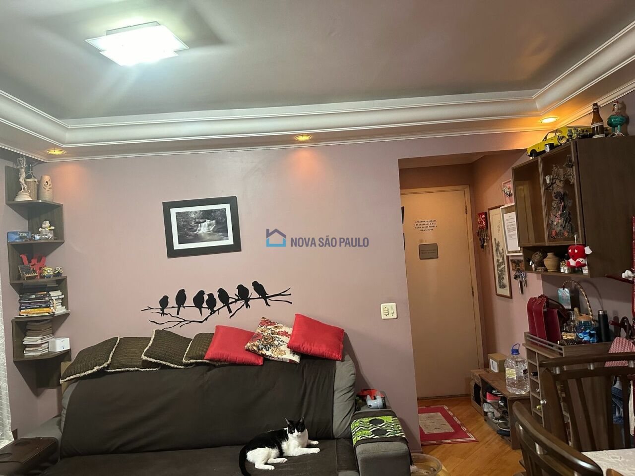 Foto 4 - BI46574