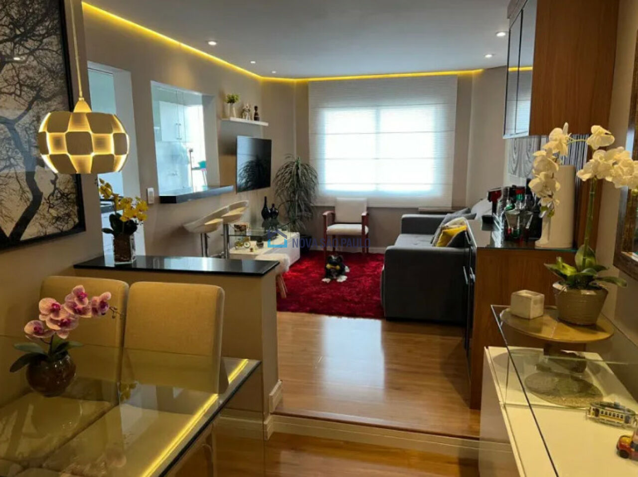 Foto 2 - BI46782