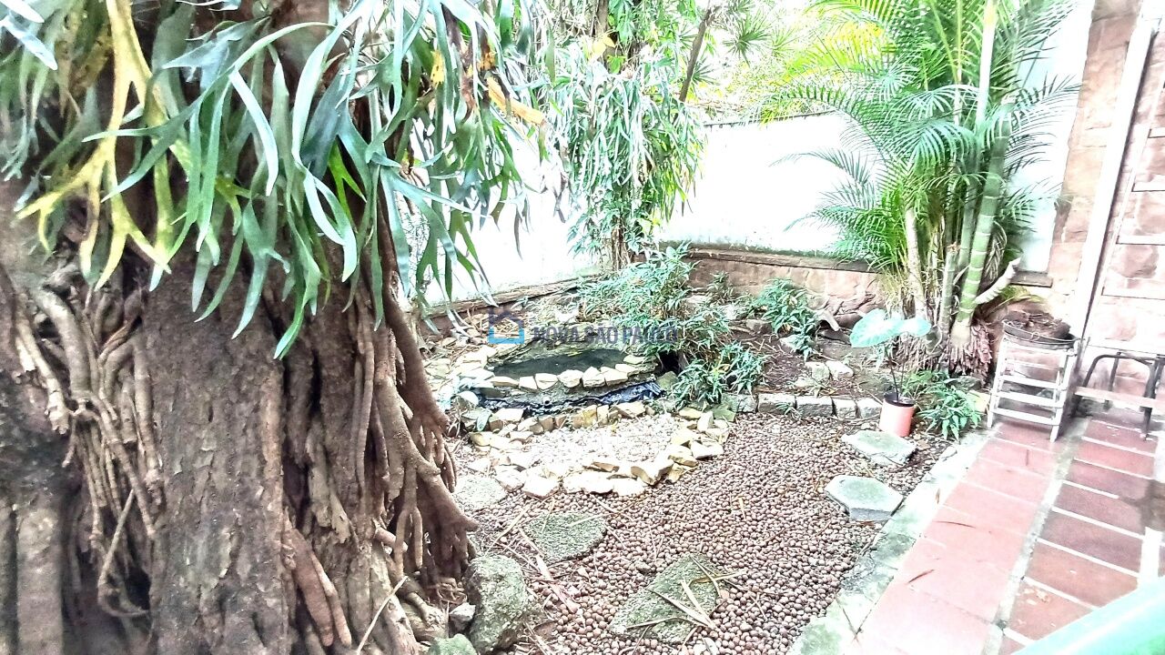 Foto 33 - BI46884