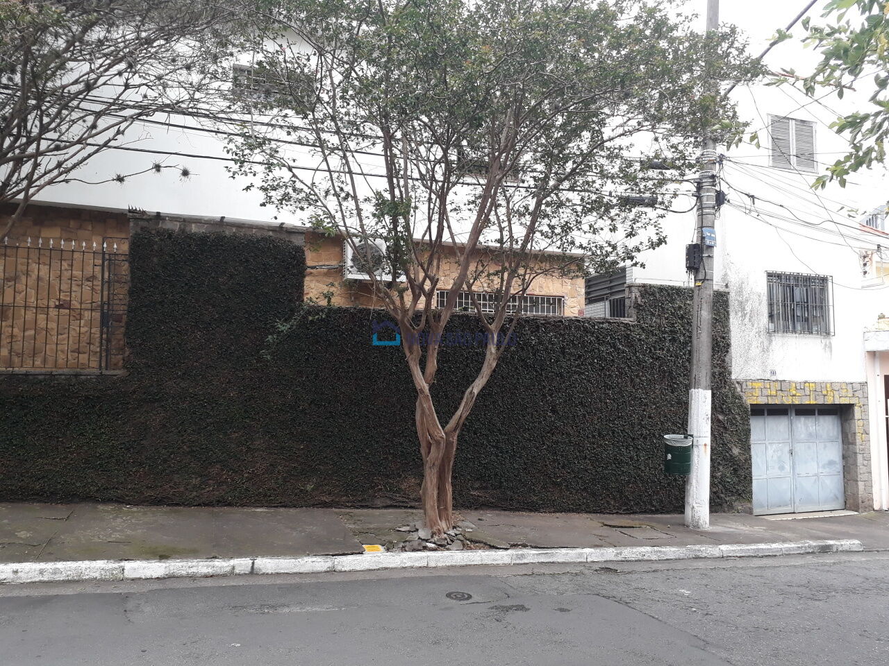Foto 23 - BI46901