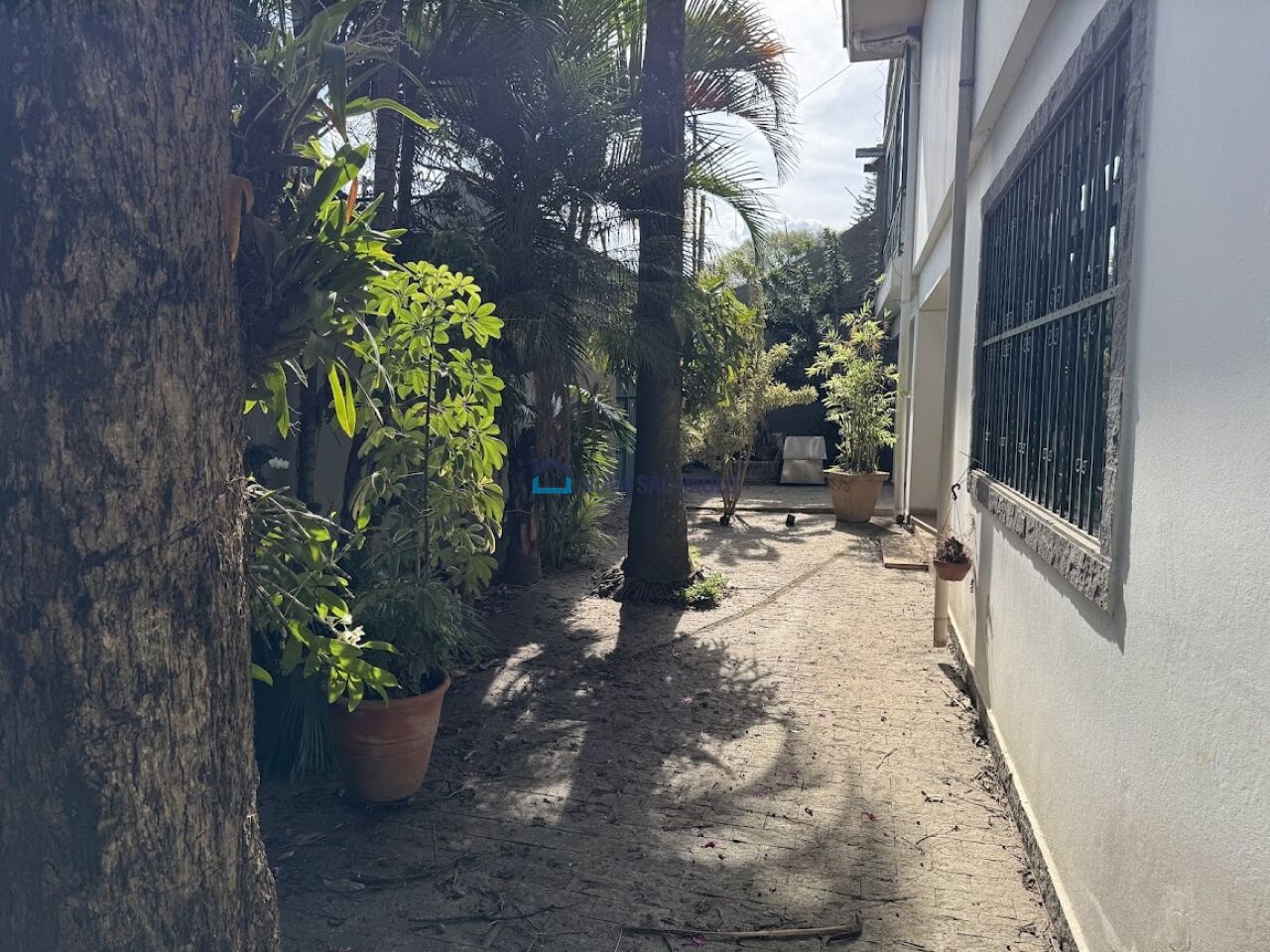 Foto 3 - BI48429