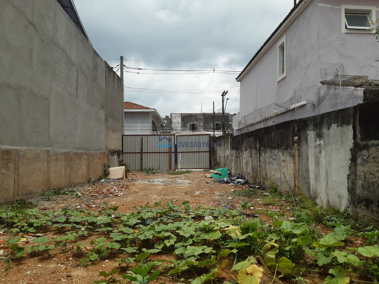 Foto 6 - BI48608