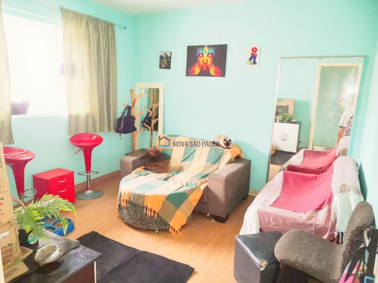Foto 11 - BI51844