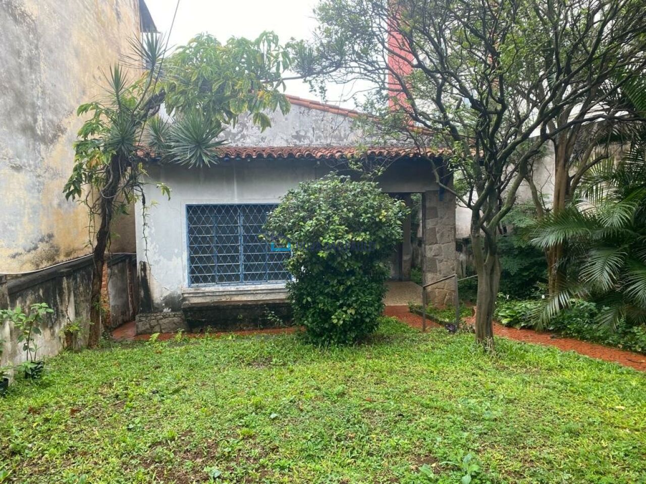 Foto 3 - BI51981