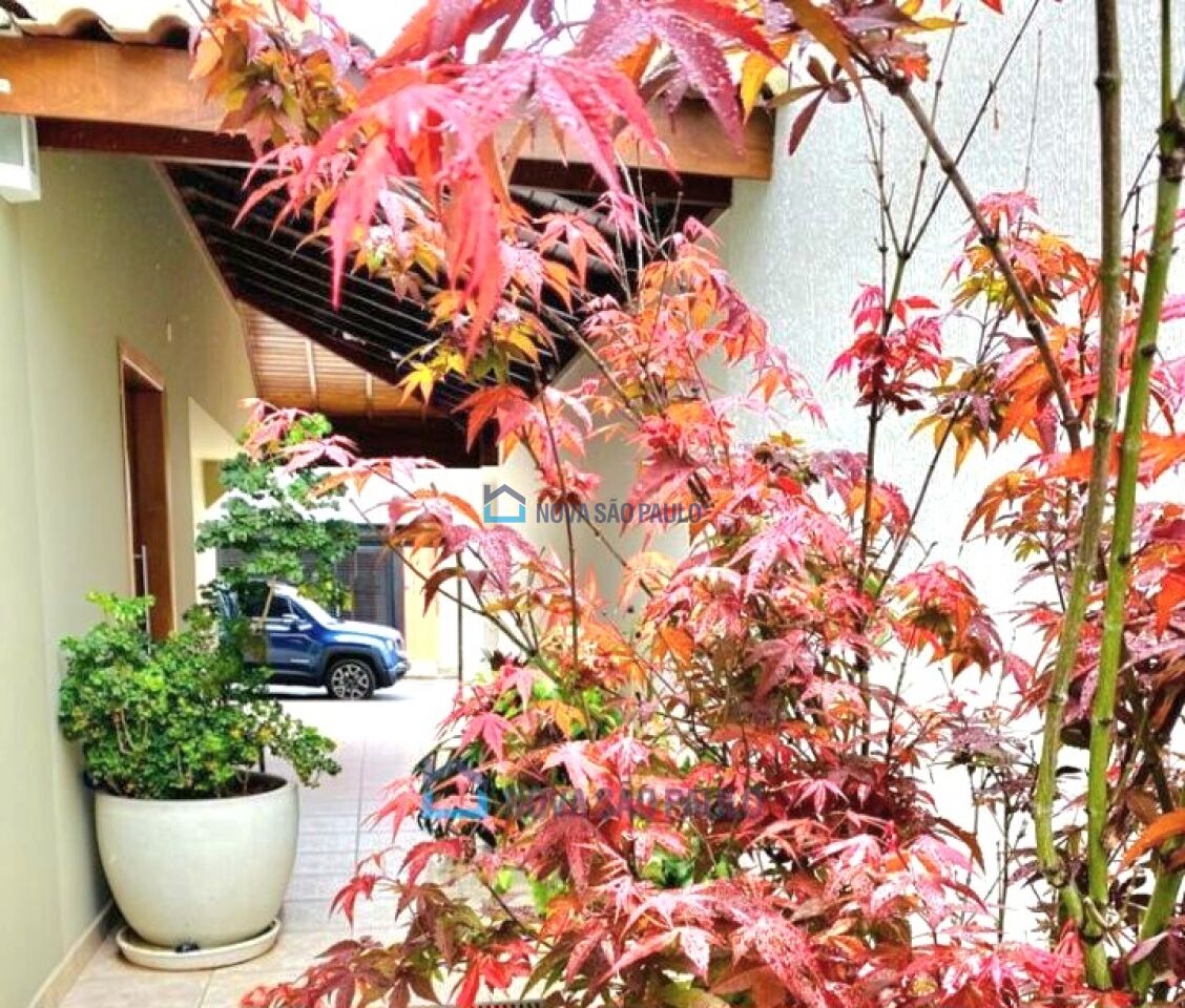 Foto 17 - BI52100