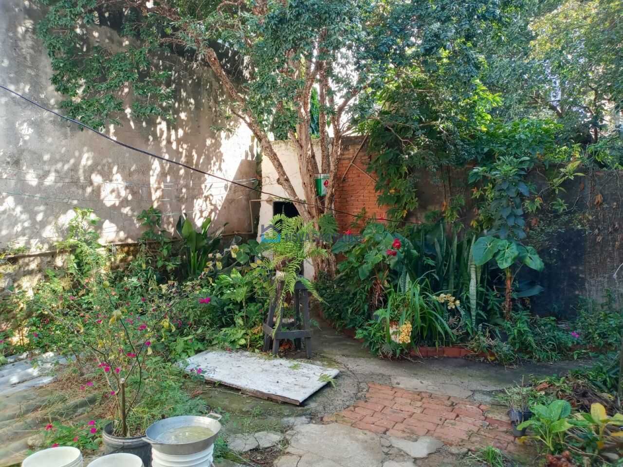 Foto 8 - JA28670