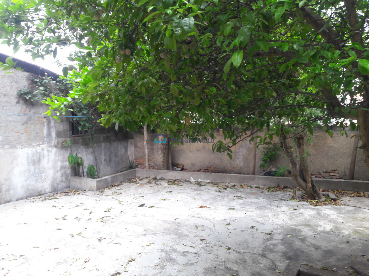 Foto 12 - JA31506