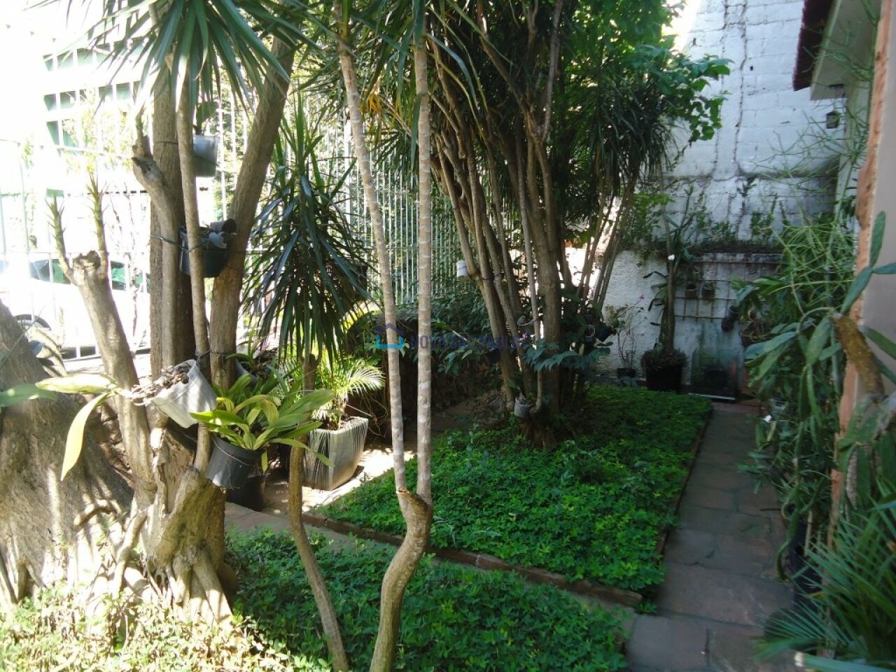 Foto 6 - JA31708