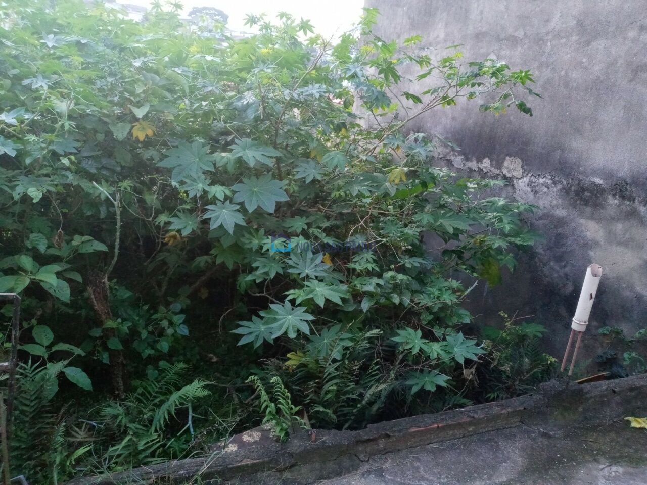 Foto 2 - JA32075
