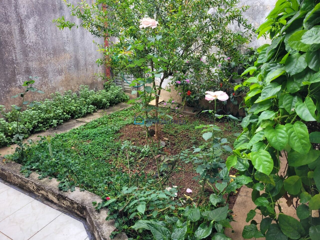 Foto 19 - JA33646