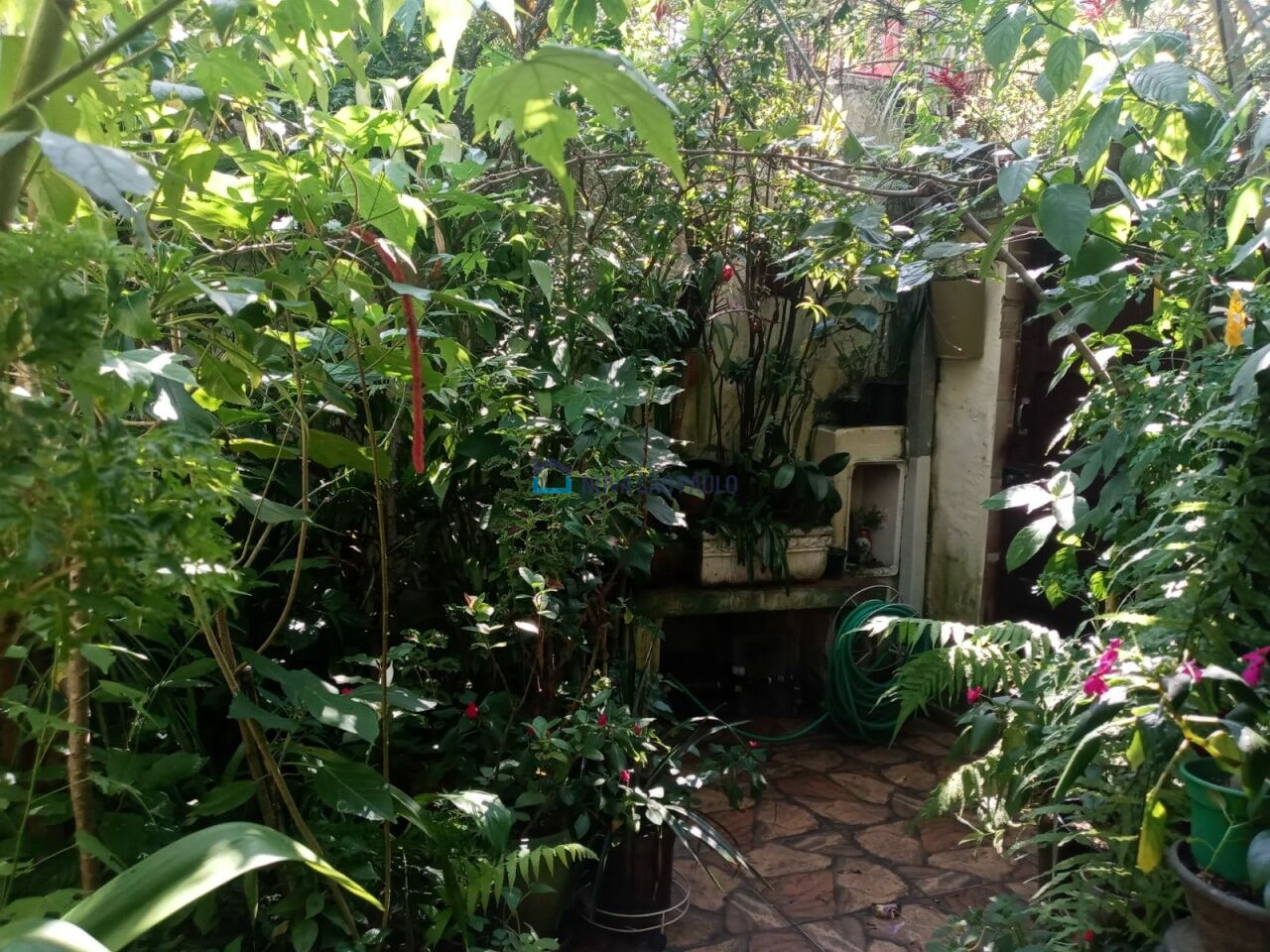 Foto 2 - JA35457