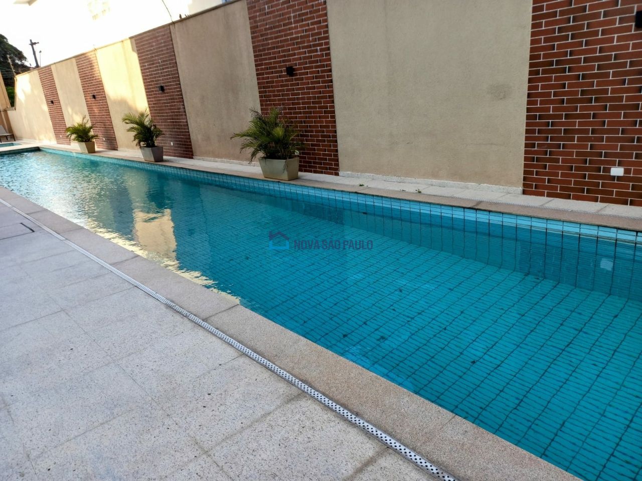 Piscina adulto