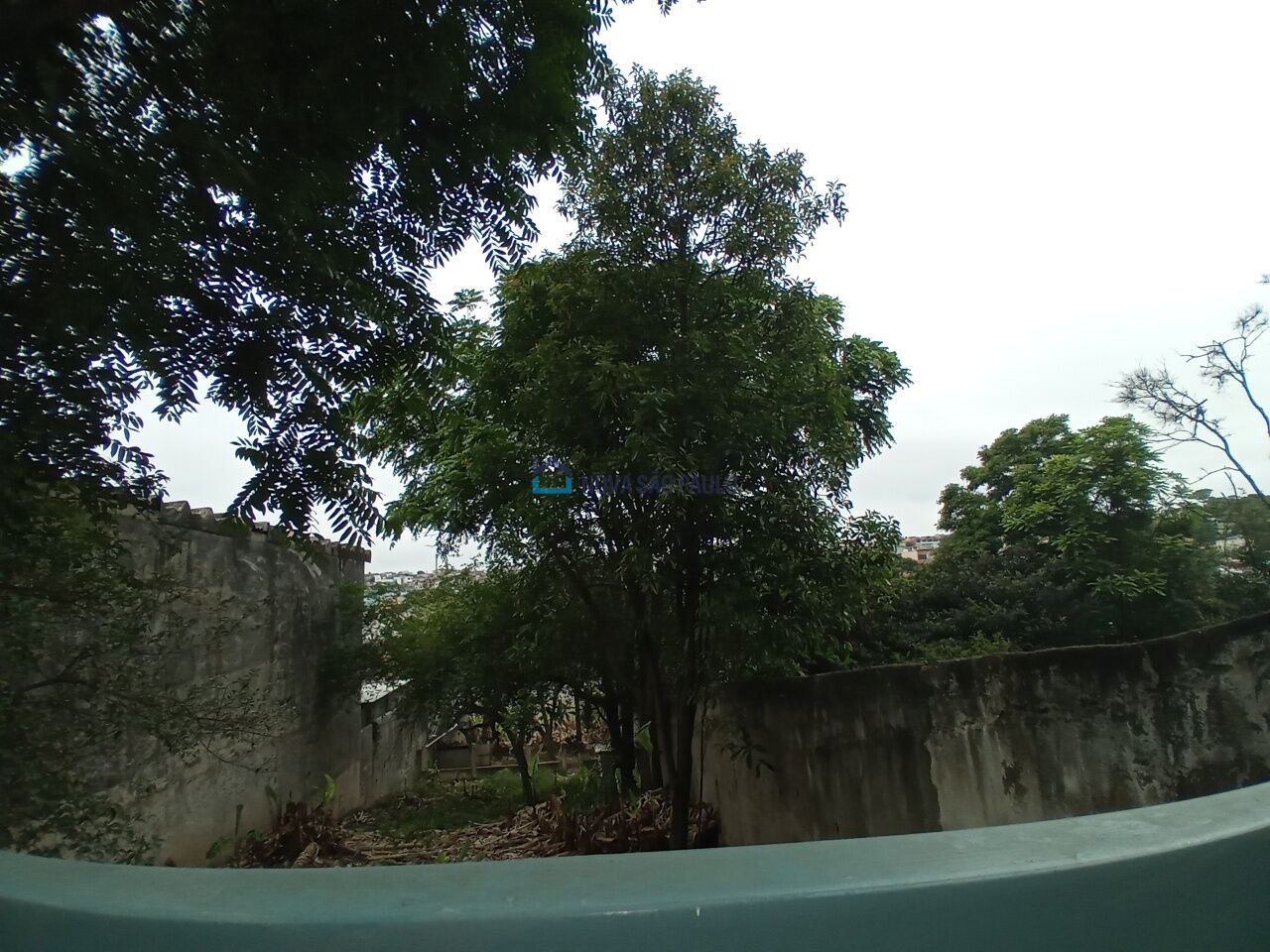 Foto 13 - JA38665