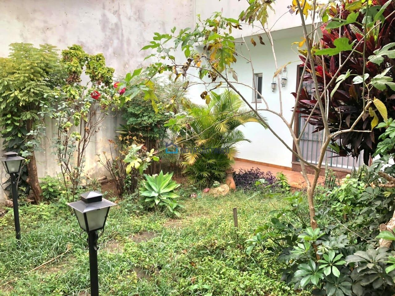 Foto 29 - JA38805