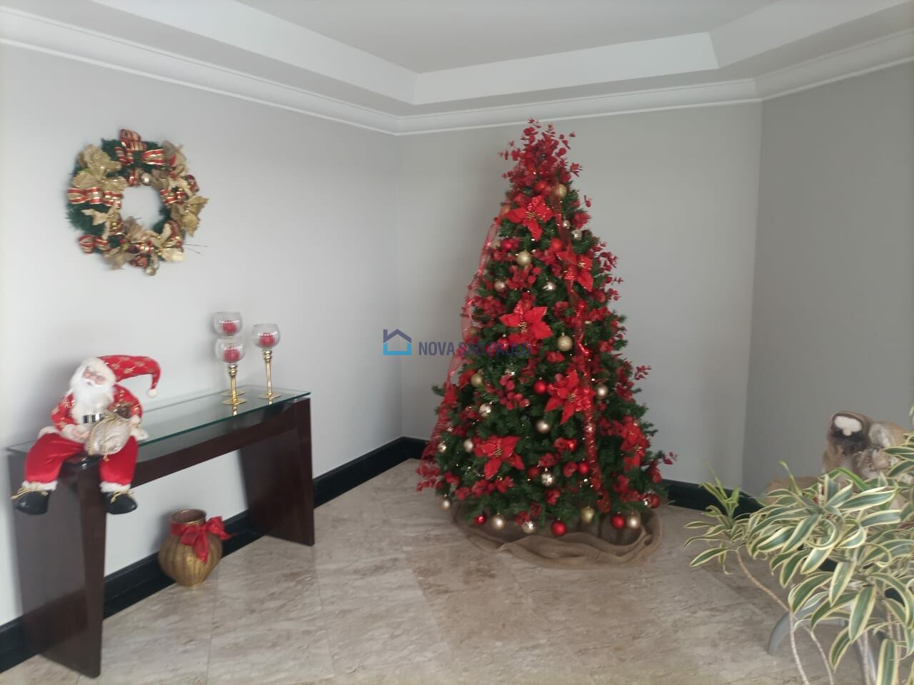 Foto 22 - JA38998