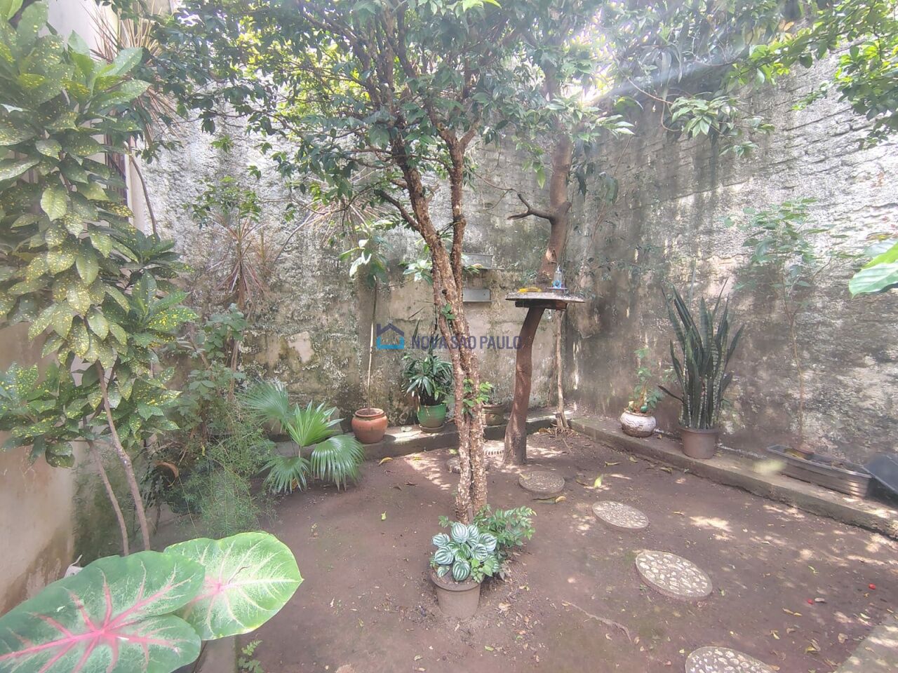 Foto 4 - JA40062