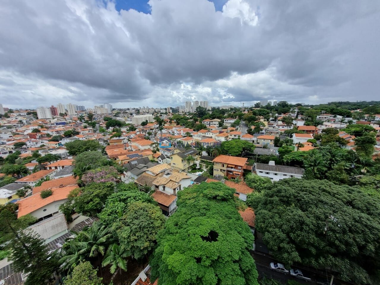 Foto 24 - JA40485