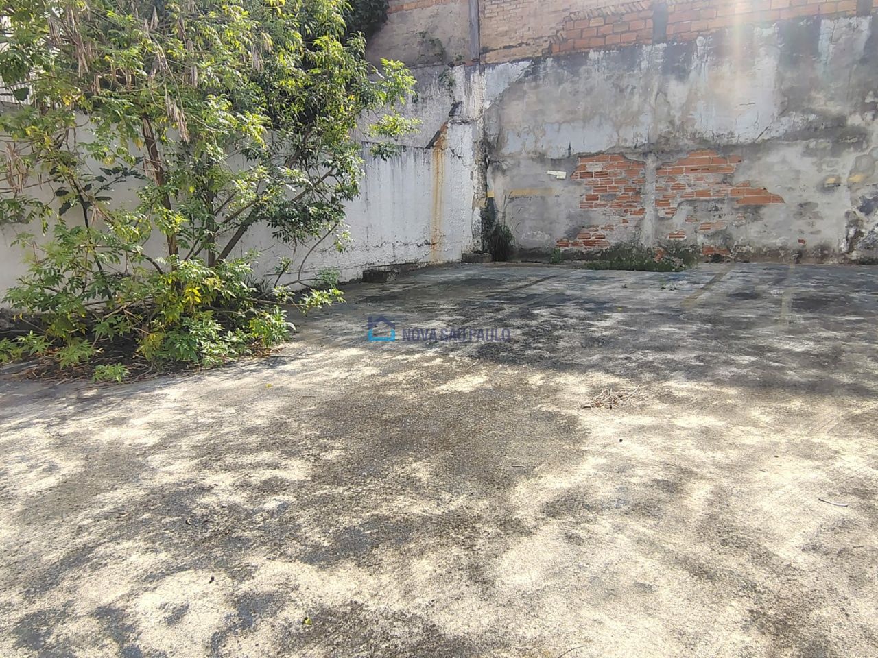 Foto 6 - JA40560
