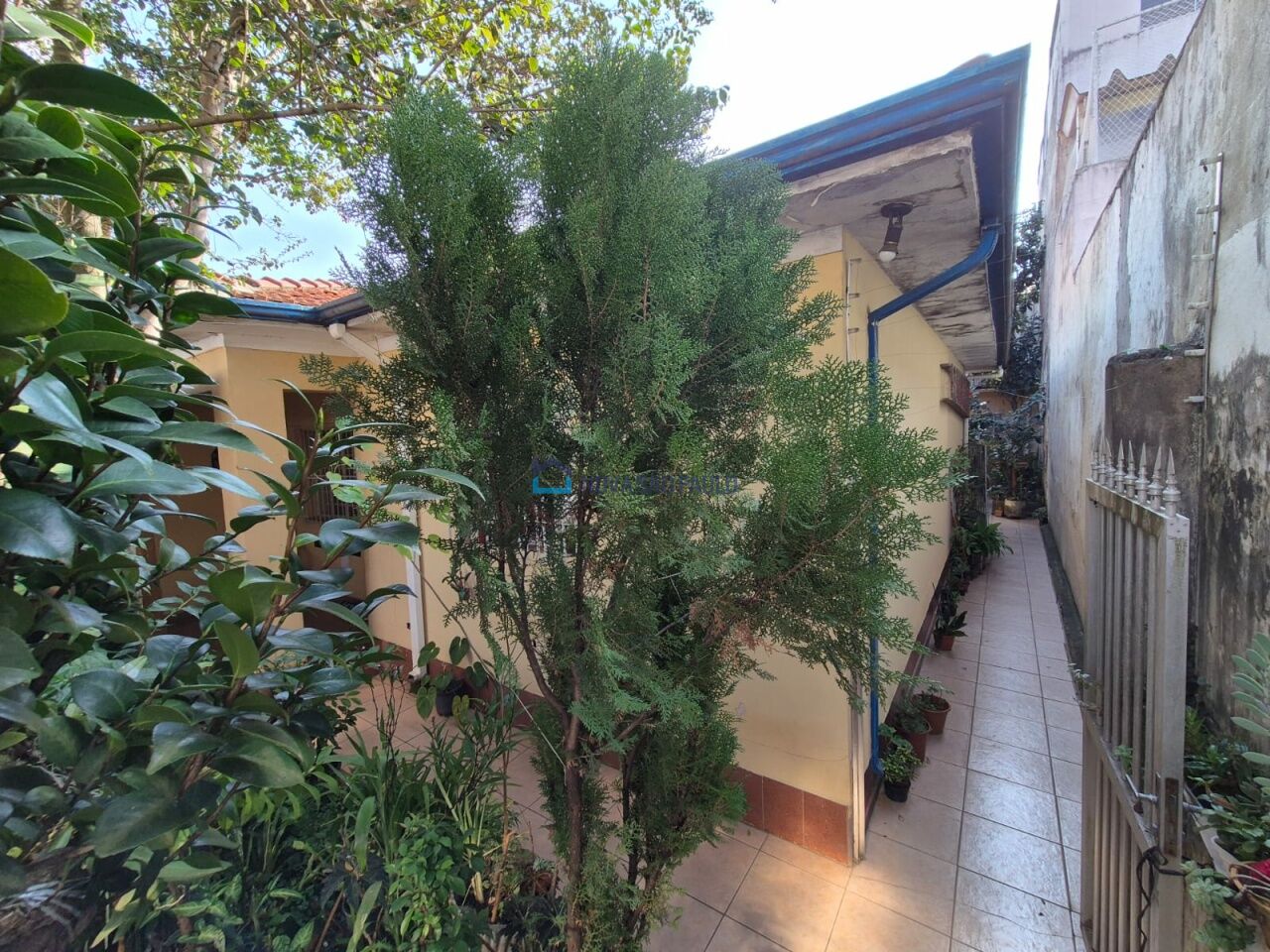 Foto 23 - JA41359