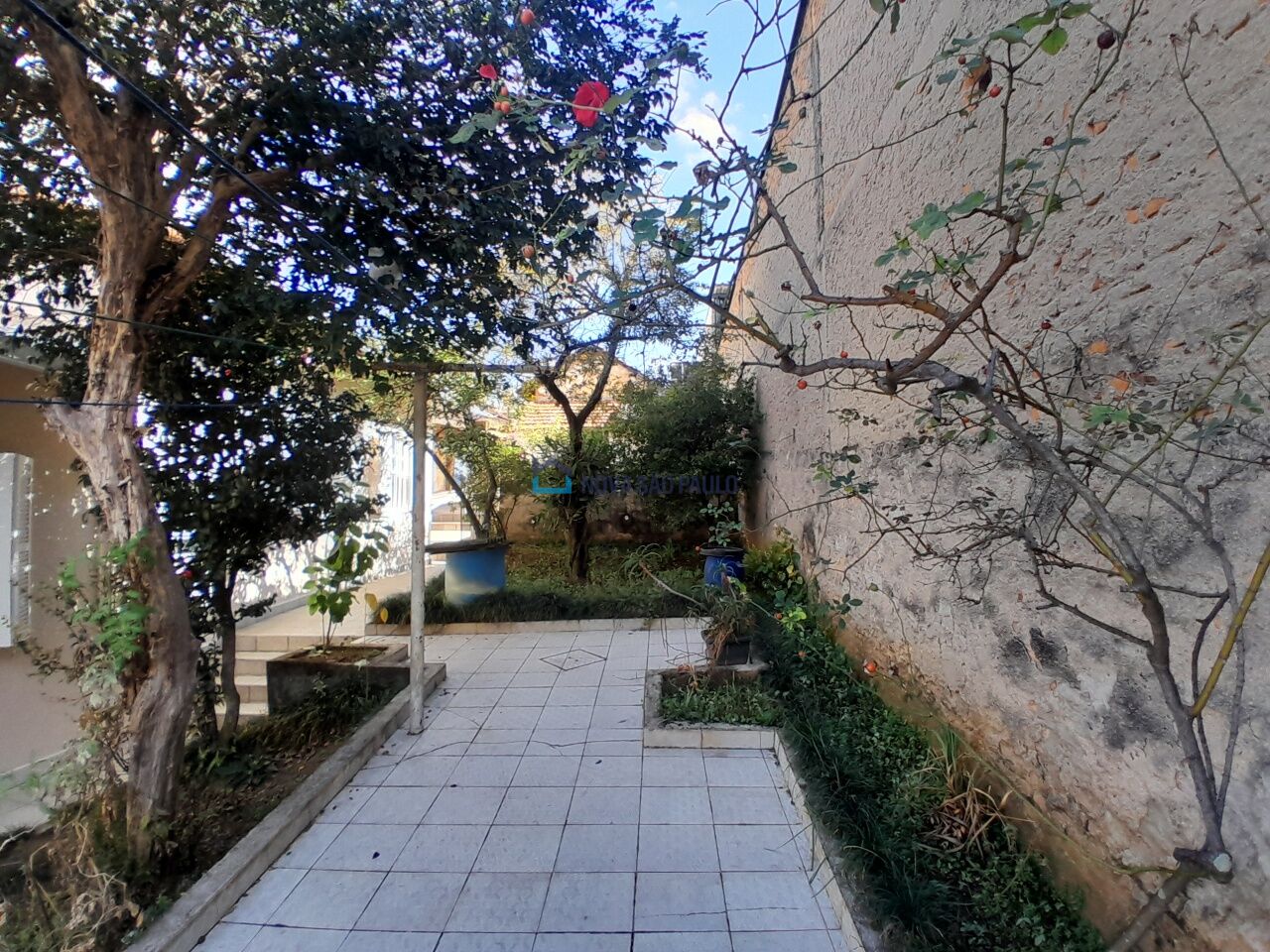 Foto 22 - JA41706