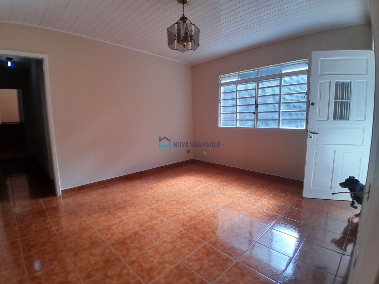 Foto 5 - JA41706